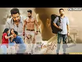 Download Lagu Aravinda Sametha Veera Raghava Telugu Full Movie | Jr NTR | Pooja Hegde @skyvideostelugu