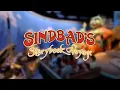 【1時間耐久】シンドバッド　ストーリーブック・ヴォヤッジ　(東京ディズニーシー)　ディズニー作業用BGM