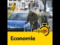 Download Lagu Belgische overheidsfinanciën in zwaar weer, ‘maar regering doet goede dingen’