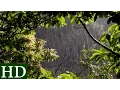 Download Lagu Lluvia HD | Sonido de Lluvia y Sonidos de la Naturaleza | Dormir