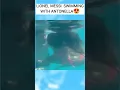 Download Lagu Lionel Messi Swimming With Antonella Roccuzzo  #short #Tiktok