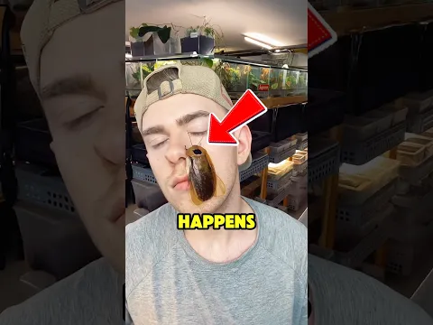 He Put a Cockroach Under a Microscope and This Happened‼️😱