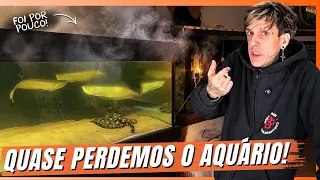 A BOMBA DO AQUÁRIO PAROU... AINDA BEM QUE PERCEBEMOS! | A CASA DOS BICHOS