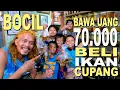 Download Lagu BOCIL BELI CUPANG 70 000 DAPET SEGAMBRENG