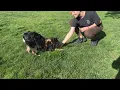 Idaho Humane Society Idaho Prison Initiative Program