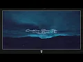 Tyron Hapi, if found feat. Emily Falvey - Could’ve Been Us (Vaance Remix)