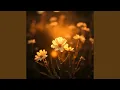 Download Lagu Kamu Datang Saat Aku Sudah Tak Percaya Cinta Lagi