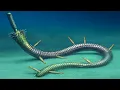 Download Lagu Prehistoric Parasitic Worms From Half a Billion Years Ago