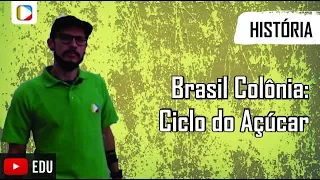 História do Brasil - Brasil Colônia: ciclo do açúcar
