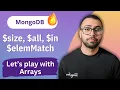 From Beginner to Pro Querying Arrays in MongoDB