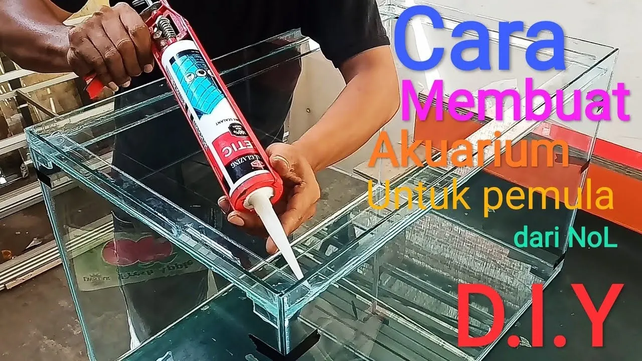 VIDEO REQUEST DARI VIEWER, REVIEW LEM DIGUNAKAN UNTUK MEMBUAT AQUARIUM