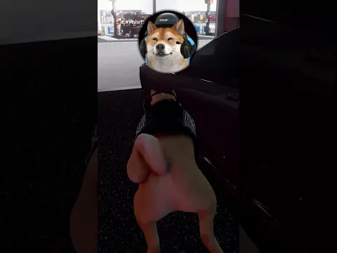 DER HAT DAS SOWASVON VERDIENT