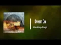 Blacktop Mojo - Dream On Cover (Lyrics)
