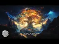 Download Lagu Antinomy \u0026 Asgard - Boom der Zielen