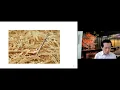 Percy Liang Semantic Parsing for Natural Language Interfaces
