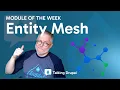 Module Entity Mesh