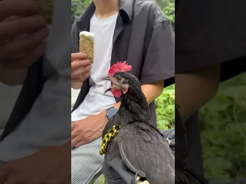 El Mejor Amigo 💖