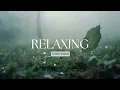 Relaxing Guitar for Stress Relief, work and study | REMEMBERED