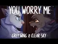 YOU WORRY ME Grey Wing Clear Sky PMV