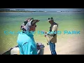 LET S SEE If There s POMPANO at the Caladesi Island Park