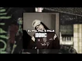 Download Lagu DJ PAL PAL E PALE style JEDAG JEDUG BBHC