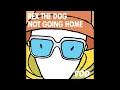 Download Lagu Rex The Dog - Not Going Home