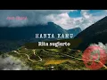 Download Lagu hanya kamu - RITA SUGIARTO