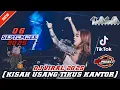 Download Lagu DJ VIRAL \