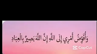 وأفوض أمري إلى الله  إن الله بصير بالعباد  مكررة     مرة بصوت الشيخ الشريم   دندنها