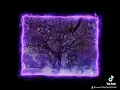 Mohammed AlFares-مآخذ قلبي