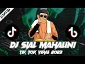 Download Lagu DJ SIAL MAHALINI - BAGAIMANA DENGAN AKU TERLANJUR MENCINTAIMU REMIX TIKTOK VIRAL 2023 FULL BASS