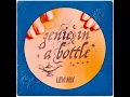 Genie in a Bottle (Levi Mix)