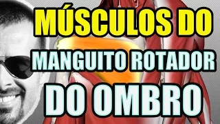 Vídeo Aula 119 - Anatomia Humana - Sistema Muscular: Músculos do Manguito Rotador do Ombro (ações)