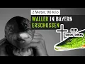 Download Lagu Frankenwaller erschossen! Gedenkstunde für Jürgen Frank N. Waller aus Verflixxte Klixx