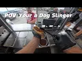 Download Lagu POV : Your a Hotdog Slinger on a busy day!