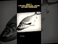 Download Lagu Inilah..!!5 Arti Mimpi Tentang Ikan , Pertanda Baik hingga Keberuntungan #shorts #artimimpi #story