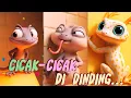Download Lagu Cicak Cicak Di Dinding| Lagu Anak Populer | Video Animasi Edukatif #laguanakindonesia