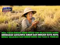 Download Lagu VIRAL !! NENEK MISKIN SELALU GAGAL PANEN, TIBA-TIBA MENDADAK KAYA RAYA BERKAT SEEKOR KEONG MAS AJAIB