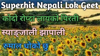 Download Superhit Nepali Lok Geet | Kodo Ropda Layeko Pirati | Syangjali Jhapali | Rumal Dhoko chhu MP3