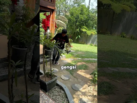 Jalan rahasia