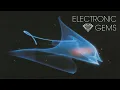 A L I S O N - Diomedea