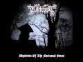 Download Lagu Evilfeast - Mysteries of the Nocturnal Forest (Full Album)