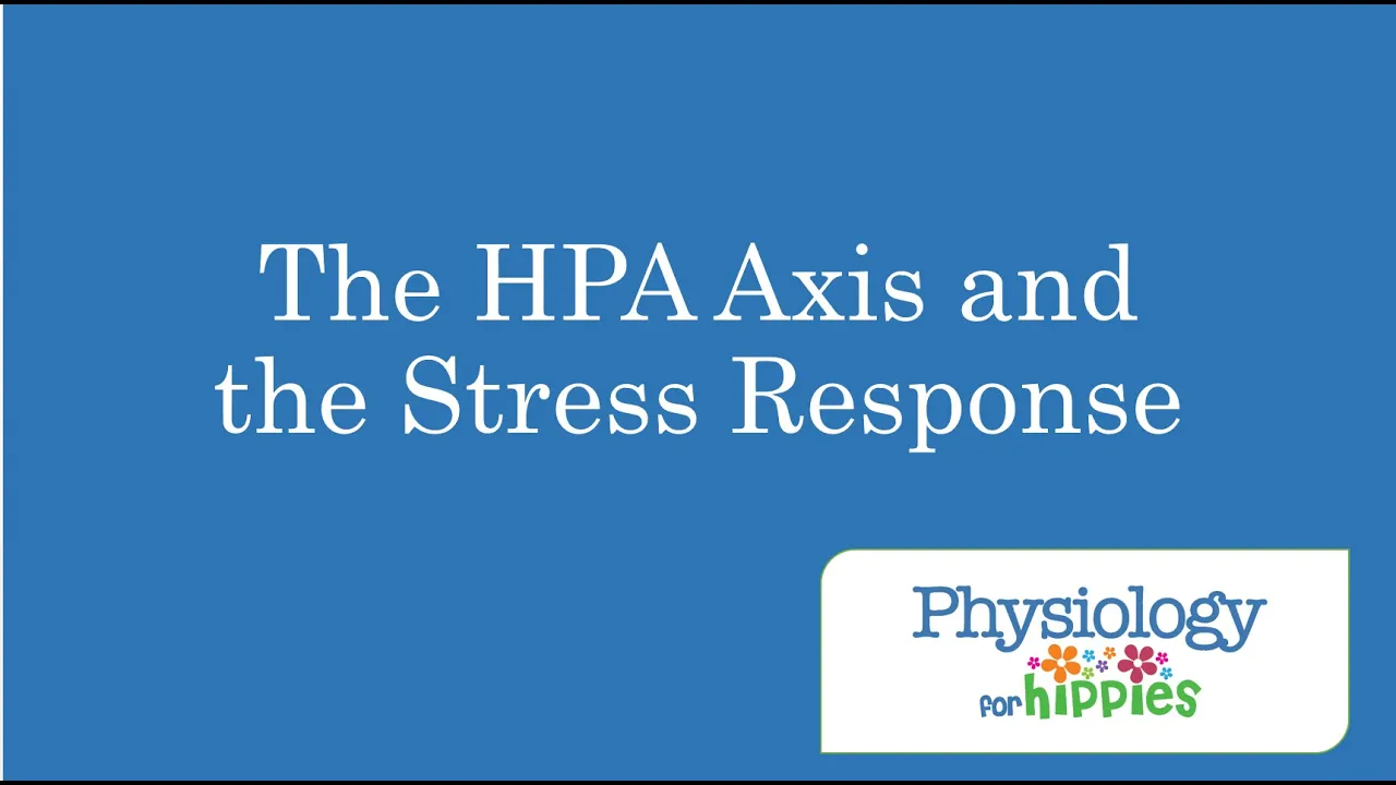 HPA Axis & Cortisol: The Stress Response Explained