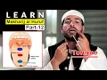 Lagu Articulation Points of Arabic Letters | Learn Makharij al Huruf with Shaykh Ismail Al-Qadi | Part 12