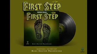 buddynice first step trip to zimbabwe
