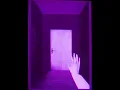 Margaritas Podridas - Agujas (Visualizer)