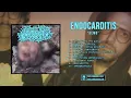 Download Lagu Endocarditis - Demo [2023]
