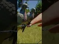 Download Lagu Hunting like a Pro! 🏹🌲 Discover Kemimoto's Hunting Gear!#hunting  #hunt  #hunter  #kemimoto