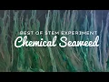 Award-Winning Chemical Seaweed Experiment