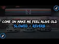 Lagu DJ Come On Make Me Feel Alive Old Style Enakeun Full Bass - ( Slowed + Reverb ) 🎧